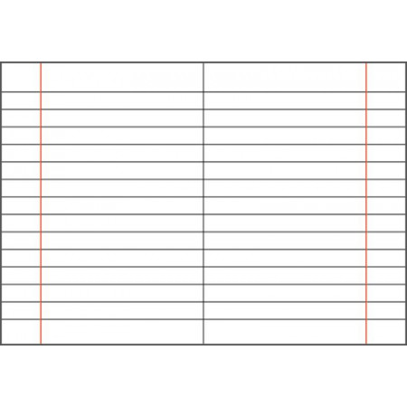 Color Quart liniert 10mm mit Rand - 24 Blatt + Umschlag grün